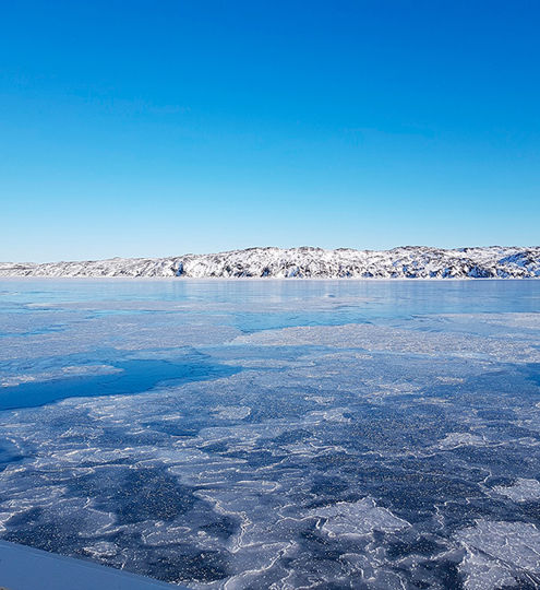 Carsoe Onboard Seafood General Photo ICE